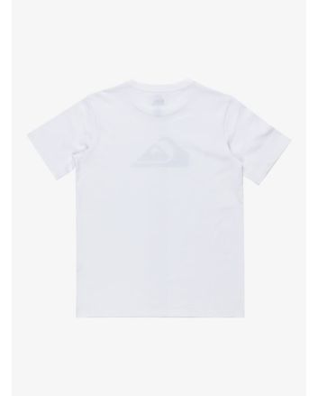 Camiseta Quiksilver Ev Comp Logo Blanca para chico 8-16 años