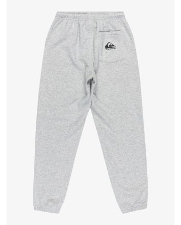 Pantalón de chándal Quiksilver Graphic Gris para chico 8-16 años