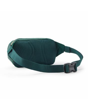 Riñonera Patagonia Terravia Mini Hip Pack 1L Cascade Green Unisex
