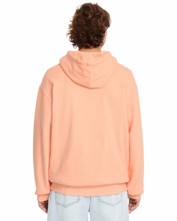 Hombre con Sudadera de capucha Volcom Single Stone color melocotón 