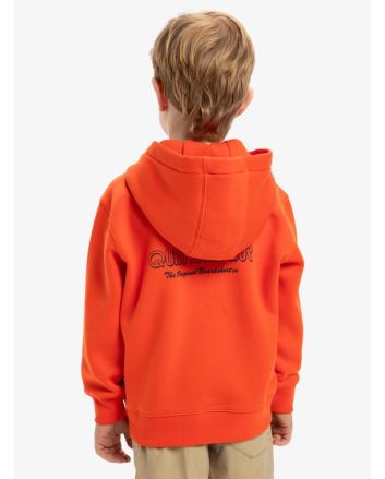 Niño con sudadera de capucha y cremallera QUiksilver Day Tripper Naranja 