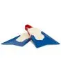 Aletas de Bodyboard Pride Vulcan V2 French Flag asimétricas
