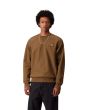 Hombre con sudadera básica Carhartt WIP American Script Sweatshirt Marrón Hamilton