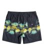 Bañador Boardshort Billabong Aloha Stripe Layback 17" negro para hombre posterior