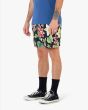 Hombre con Bañador Boardshort Deus Ex Machina Step Off Mesh 17" Negro floral lateral