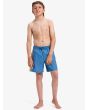 Niño con bañador Quiksilver Everyday Holmes Volley 14'' Azul Corona pierna recta