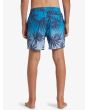Niño con bañador Quiksilver Everyday Mix Volley 14'' Azul con estampado tropical posterior