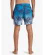 Niño con bañador Quiksilver Everyday Mix Volley 14'' Azul con estampado tropical posterior
