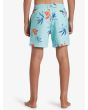 Niño con Bañador Quiksilver Youth Everyday Mix Volley 14'' Azul Celeste Tropical posterior
