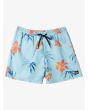 Short de natación Quiksilver Everyday Mix Volley 14'' Limpet Shell para chico 8-16 años