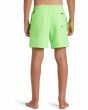 Niño con bañador Quiksilver Everyday Solid Volley 14'' Verde Lima posterior