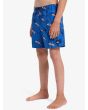 Niño con Bañador Quiksilver Next Gen Volley 14'' Azul lateral