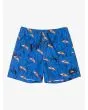 Short de natación Quiksilver Next Gen Volley 14'' Azul para chico 8-16 años