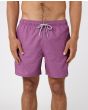 Hombre con Bañador elástico Rip Curl Daily Volley 16" morado 