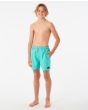 Niño con bañador Rip Curl Offset Volley 15" turquesa frontal