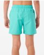 Niño con bañador Rip Curl Offset Volley 15" turquesa posterior
