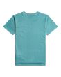 Camiseta de manga corta BIllabong Ocean turquesa para niño posterior