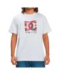 Hombre con camiseta de manga corta DC Shoes Andy Warhol Flower HSS blanca 