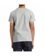 Niño con Camiseta de manga corta Dc Shoes Orientation Gris espalda
