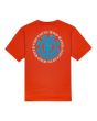 Camiseta de manga corta Element Brand Seal BP para niño naranja
