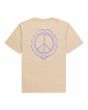 Camiseta orgánica de manga corta Element Collab beige para hombre posterior