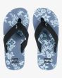 Chanclas Billabong Boy All Day Theme Azul Niebla para niño