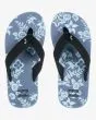 Chanclas Billabong Boy All Day Theme Azul Niebla para niño