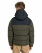 Niño con Chaqueta acolchada con capucha Element Puffa Classic Youth Verde posterior