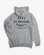 Sudadera con capucha Deus Ex Machina Biarritz Address Gris para hombre posterior