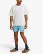 Hombre con Bañador Boardshort Deus Ex Machina Sandbar Acid Short 16in Ocean