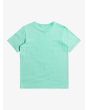 Camiseta de Manga Corta para Niños 8-16 años Quiksilver Distant Shores turquesa Posterior
