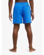 Niño con short de natación Quiksilver Everyday Solid Volley 14 Azul Nebulosa posterior