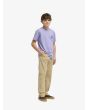 Niño con Pantalón recto Quiksilver Youth Taxer Pant caqui corte
