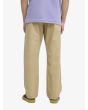 Niño con Pantalón recto Quiksilver Youth Taxer Pant caqui posterior