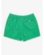 Quiksilver bañador Everyday Solid Volley 15 Leprechaun para hombre posterior