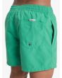 Hombre con short de natación Quiksilver Everyday Solid Volley 15 Verde Duende bolsillos