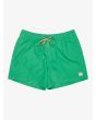 Quiksilver bañador Everyday Solid Volley 15 Leprechaun para hombre