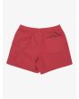 Quiksilver bañador Everyday Solid Volley 15 Burnt Russet para hombre posterior