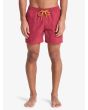 Hombre con short de natación Quiksilver Everyday Solid Volley 15 Burnt Russet 