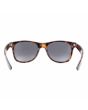 Gafas de sol Vans Spicoli 4  Cheetah Tortoise marrones Unisex posterior