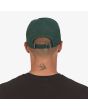 Hombre con gorra Patagonia P-6 Label Trad verde posterior
