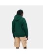 Hombre con Sudadera de capucha Carhartt WIP American Script Sweat Verde posterior