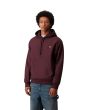 Hombre con sudadera de capucha Carhartt WIP American Script Rondo Granate