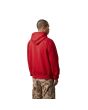 Hombre con Sudadera con capucha Carhartt WIP Hooded Carhartt Sweatshirt Cherry-Space posterior