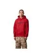 Hombre con Sudadera con capucha Carhartt WIP Hooded Carhartt Sweatshirt Cherry-Space