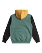 Sudadera con capucha Billabong Arch Block Po Billiard para chico 8-16 años posterior