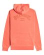 Sudadera polar con capucha Billabong Arch Wave rosa para hombre posterior