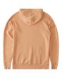 Sudadera con capucha Billabong Wave Washed rosa para hombre posterior