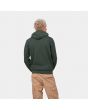 Hombre con sudadera de capucha Carhartt WIP Script Embroidery Sweat verde posterior
