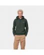 Hombre con sudadera de capucha Carhartt WIP Script Embroidery Sweat verde 